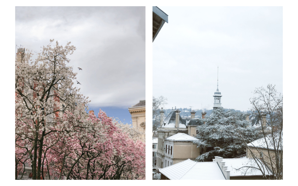 Le printemps à Lyon