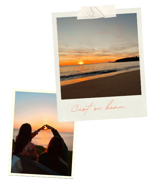 pola blog (3)