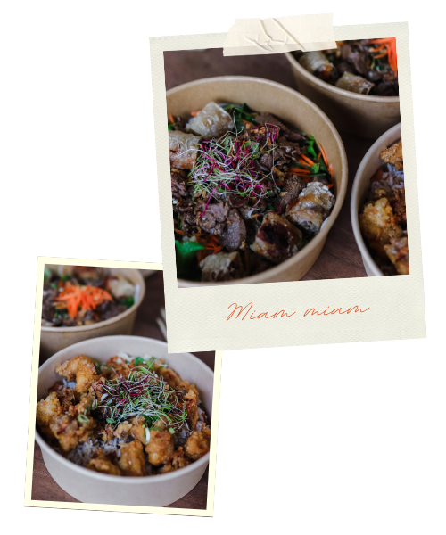 pola blog (7)